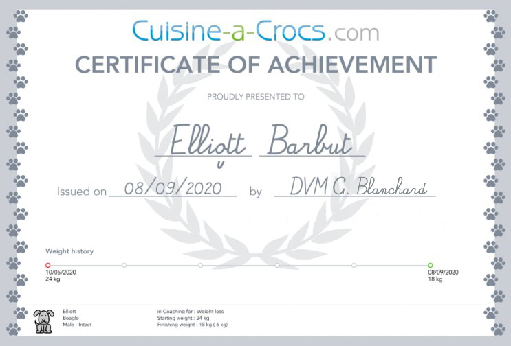 dog weight loss certificate